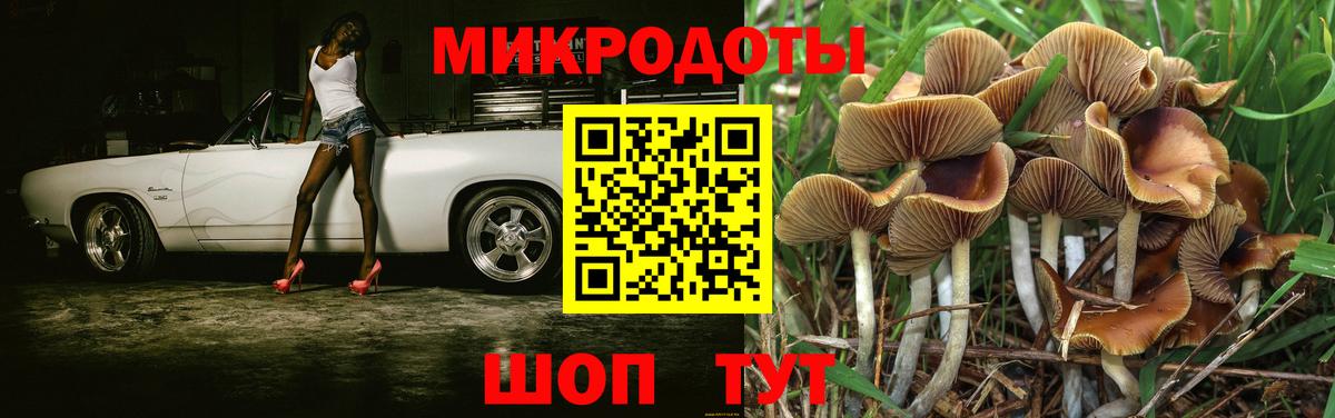 Псилоцибиновые грибы Magic Shrooms  Вход с VPN  Вышний Волочёк 